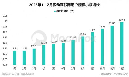 2025年第四季度移動互聯(lián)網(wǎng)行業(yè)數(shù)據(jù)研究報告 數(shù)據(jù)服務(wù)領(lǐng)域的深度洞察
